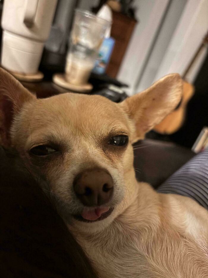 Too Much to Drink Tonight? Same Here.