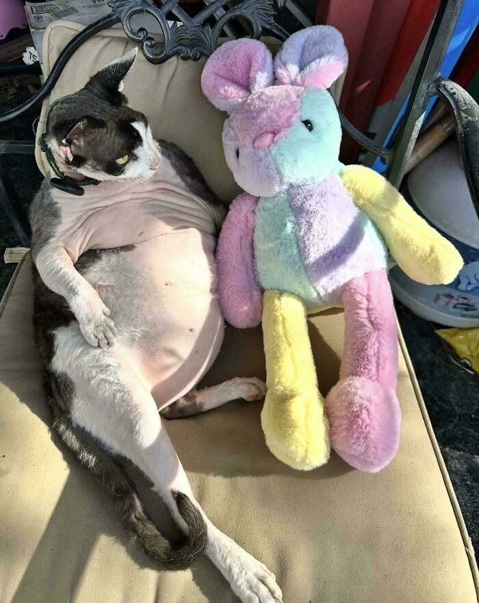 "Soo... Do You Come Here Often?" That Face!