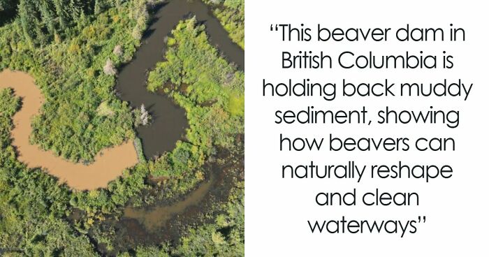 Let’s Dive Into 68 Wild Facts and Pics That Will Blow Your Mind