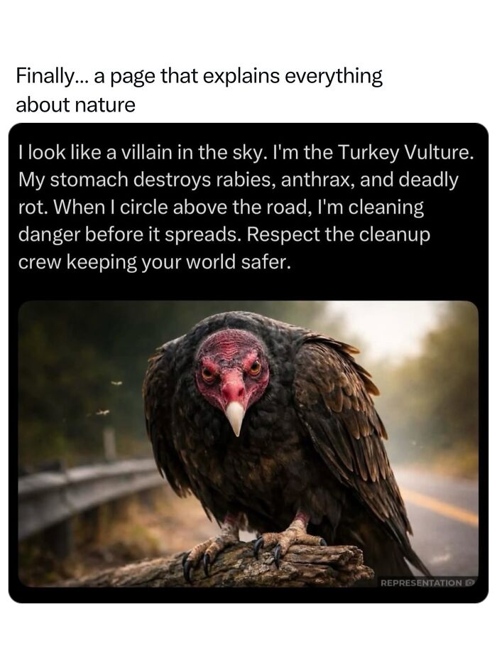 Let's Dive Into 68 Wild Facts and Pics That Will Blow Your Mind
