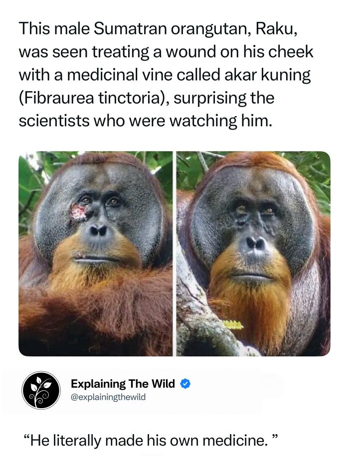 Let's Dive Into 68 Wild Facts and Pics That Will Blow Your Mind