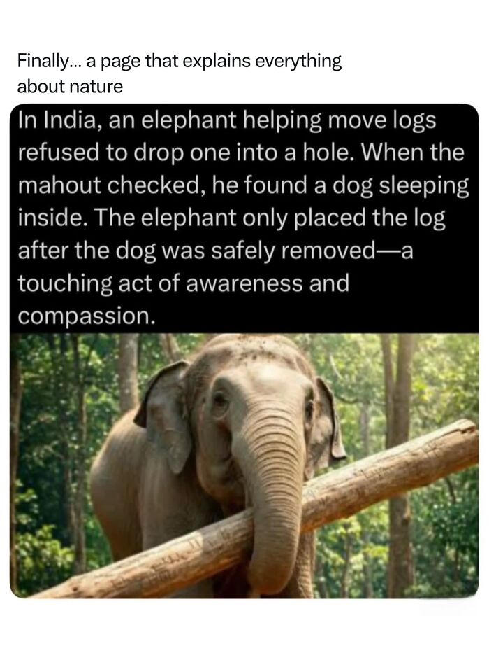Let's Dive Into 68 Wild Facts and Pics That Will Blow Your Mind