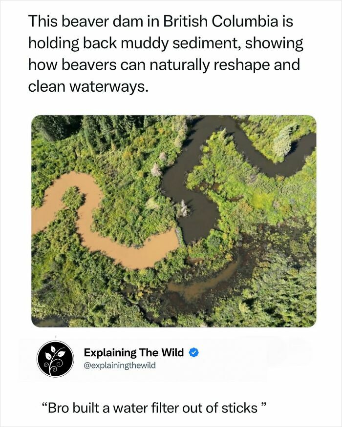 Let's Dive Into 68 Wild Facts and Pics That Will Blow Your Mind