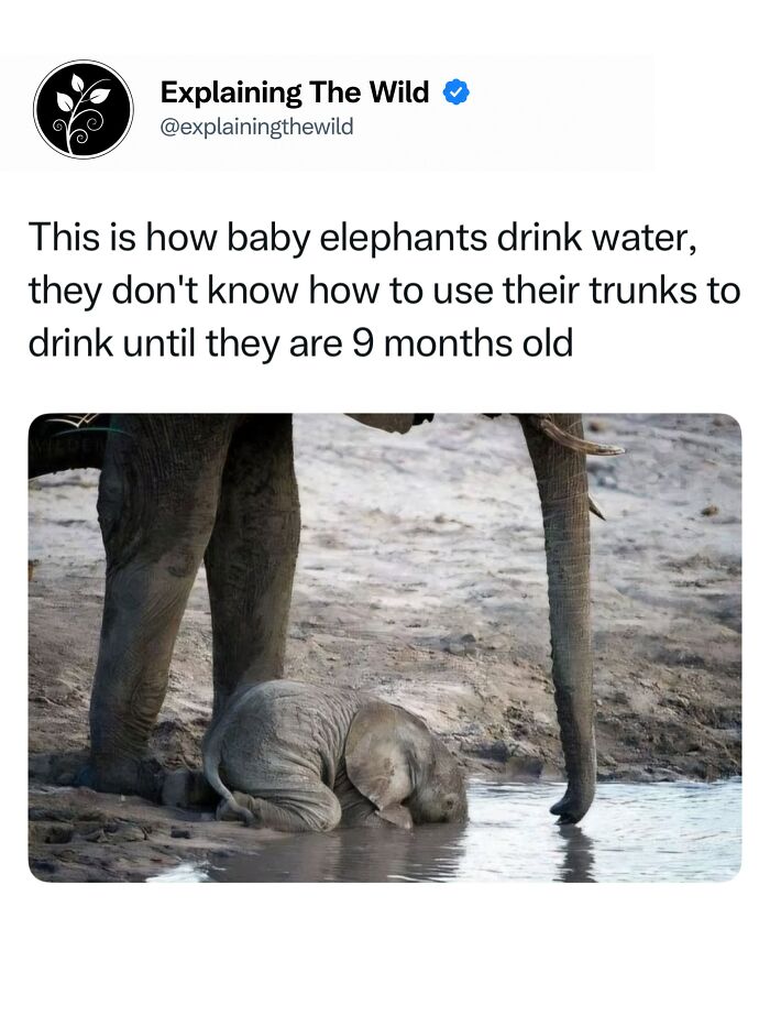 Let's Dive Into 68 Wild Facts and Pics That Will Blow Your Mind