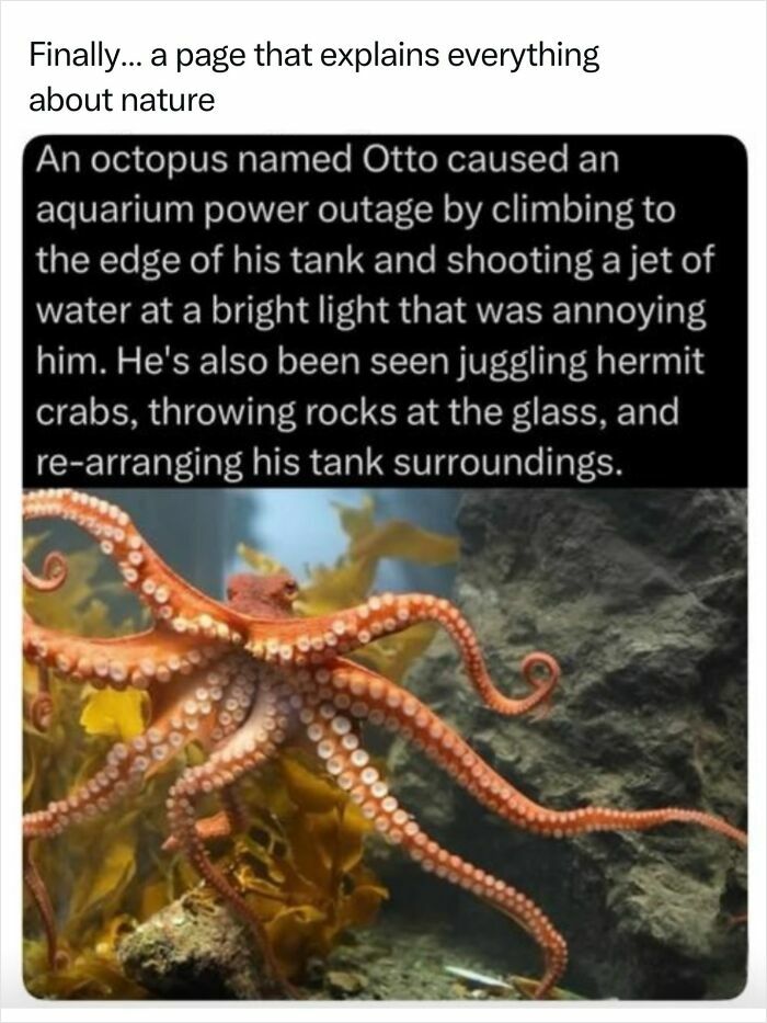 Let's Dive Into 68 Wild Facts and Pics That Will Blow Your Mind