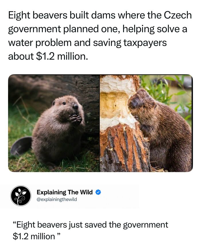 Let's Dive Into 68 Wild Facts and Pics That Will Blow Your Mind