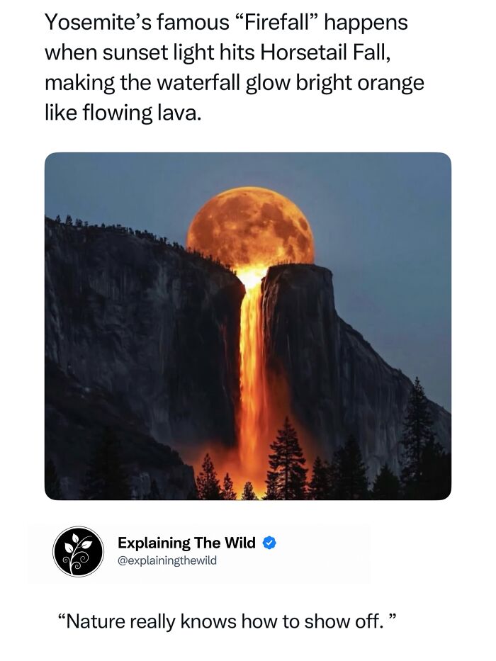Let's Dive Into 68 Wild Facts and Pics That Will Blow Your Mind