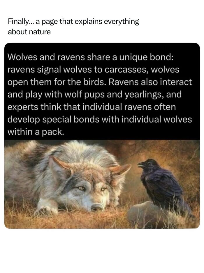 Let's Dive Into 68 Wild Facts and Pics That Will Blow Your Mind
