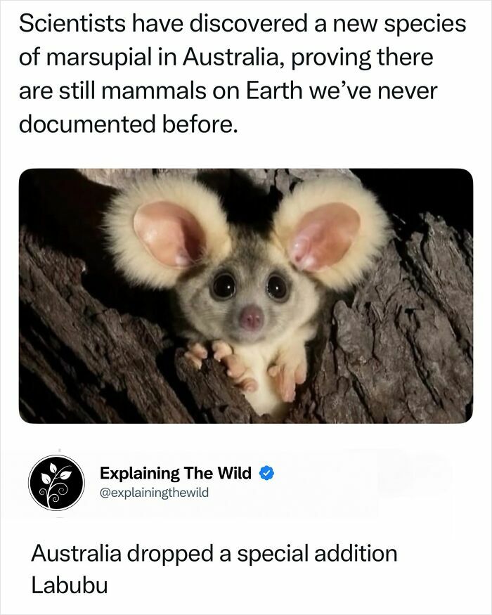 Let's Dive Into 68 Wild Facts and Pics That Will Blow Your Mind