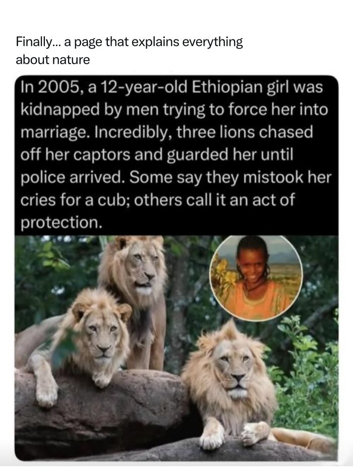Let's Dive Into 68 Wild Facts and Pics That Will Blow Your Mind