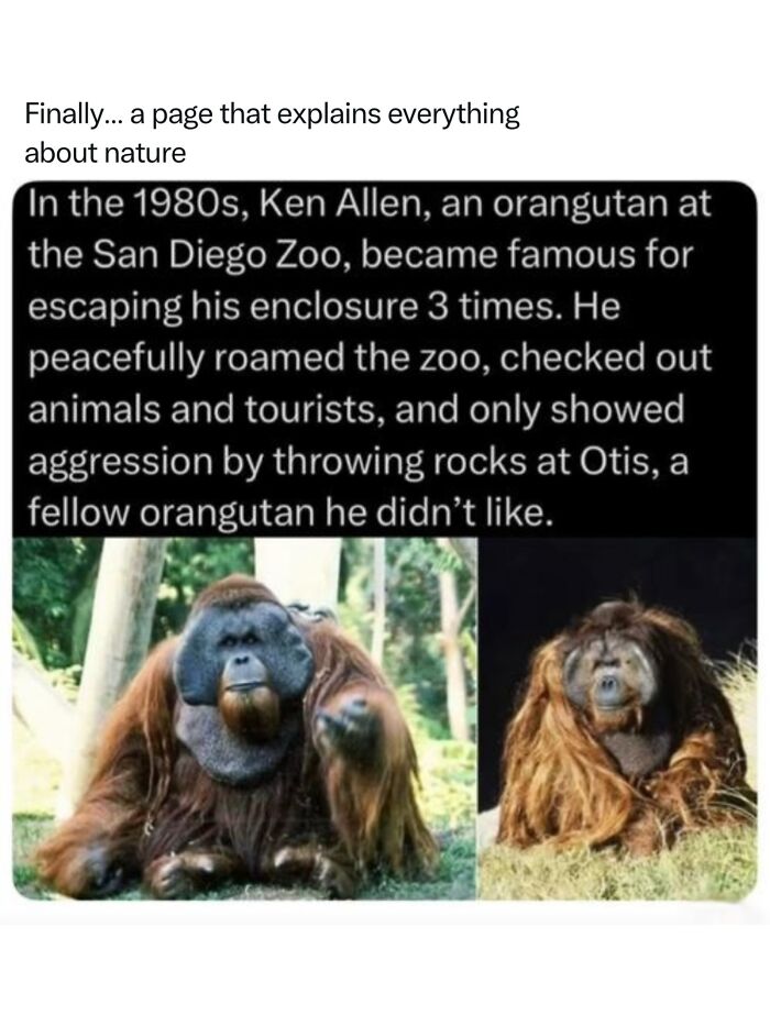 Let's Dive Into 68 Wild Facts and Pics That Will Blow Your Mind