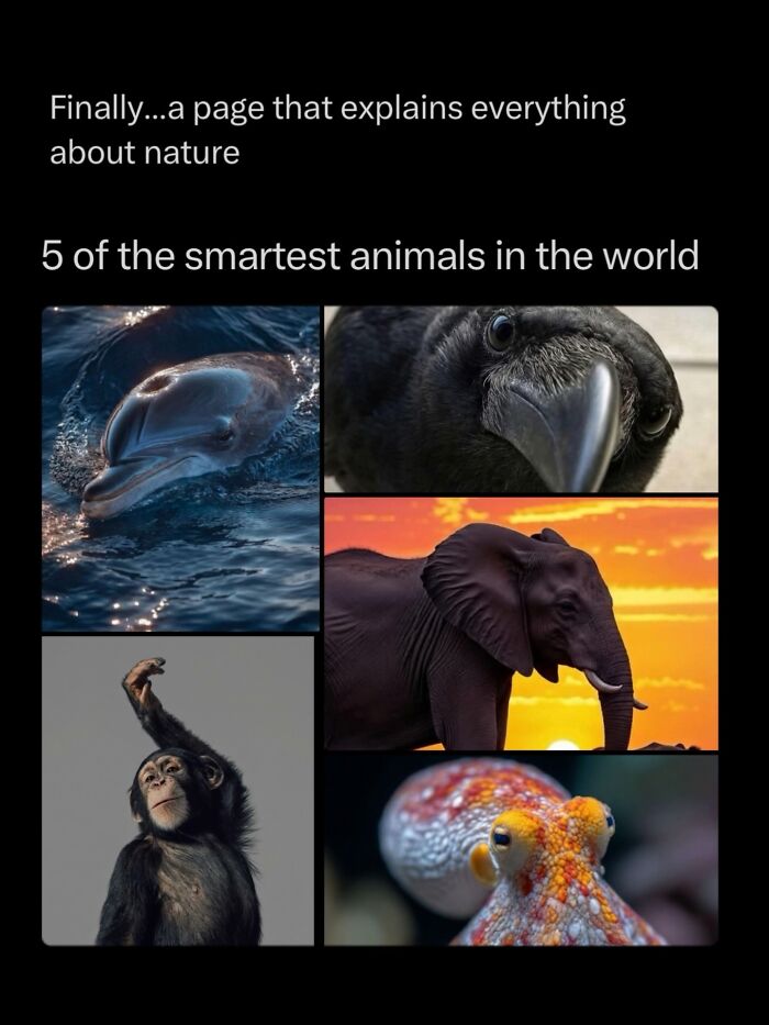Let's Dive Into 68 Wild Facts and Pics That Will Blow Your Mind