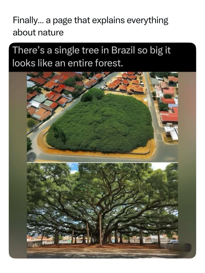 Let's Dive Into 68 Wild Facts and Pics That Will Blow Your Mind