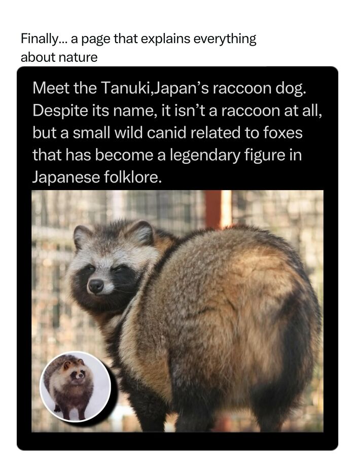 Let's Dive Into 68 Wild Facts and Pics That Will Blow Your Mind