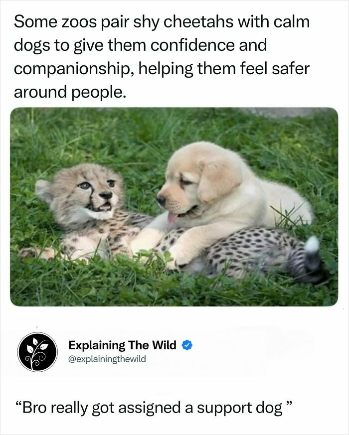 Let's Dive Into 68 Wild Facts and Pics That Will Blow Your Mind