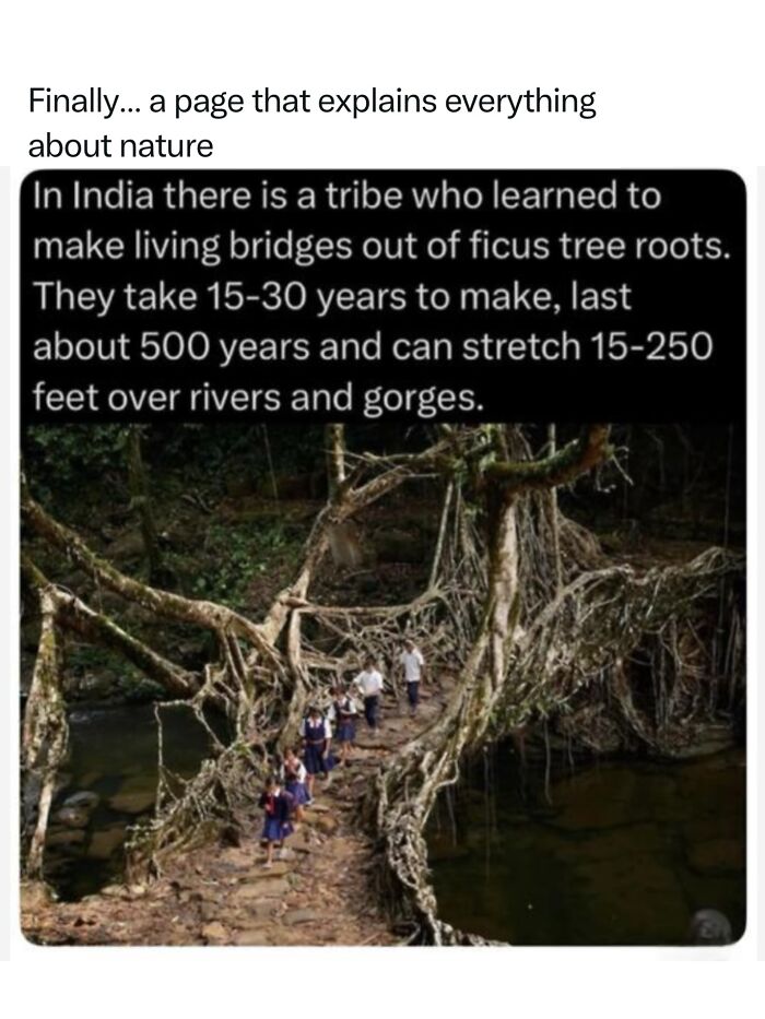 Let's Dive Into 68 Wild Facts and Pics That Will Blow Your Mind