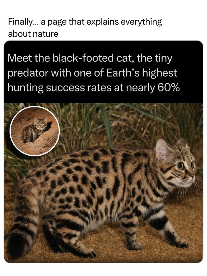 Let's Dive Into 68 Wild Facts and Pics That Will Blow Your Mind