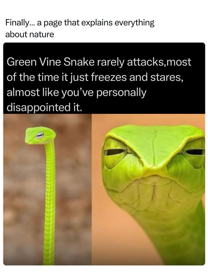 Let's Dive Into 68 Wild Facts and Pics That Will Blow Your Mind