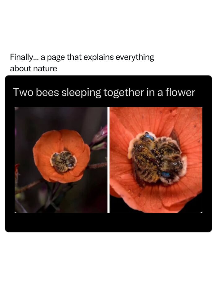 Let's Dive Into 68 Wild Facts and Pics That Will Blow Your Mind