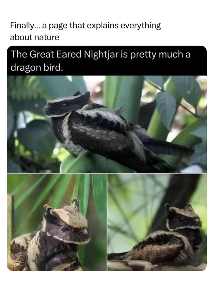Let's Dive Into 68 Wild Facts and Pics That Will Blow Your Mind