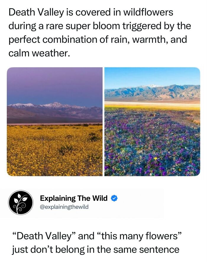 Let's Dive Into 68 Wild Facts and Pics That Will Blow Your Mind