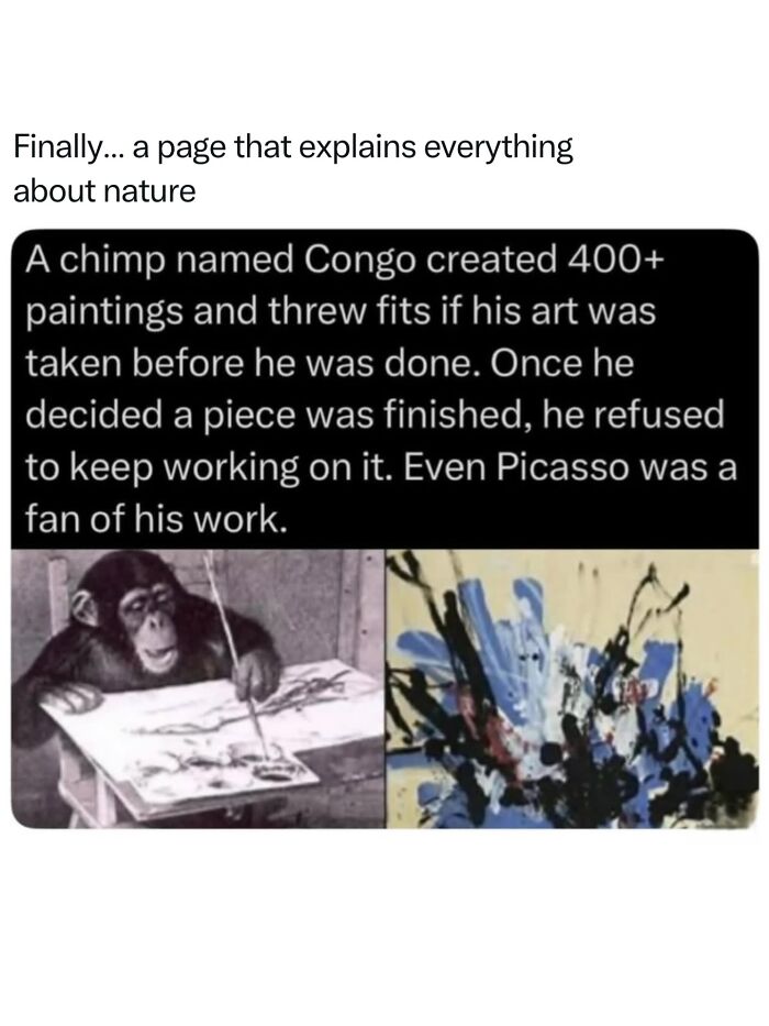 Let's Dive Into 68 Wild Facts and Pics That Will Blow Your Mind