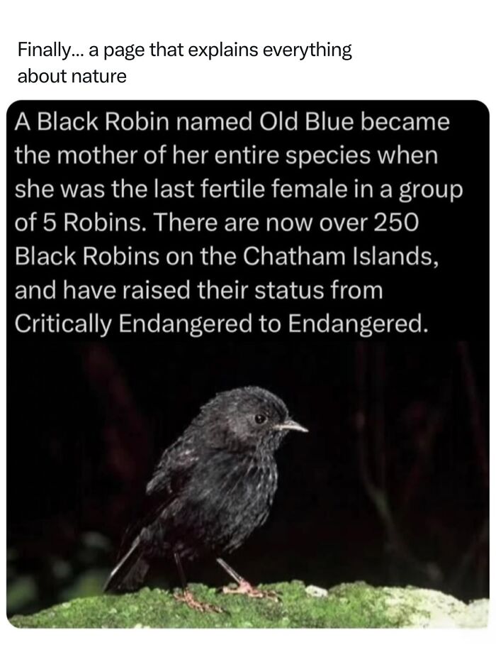 Let's Dive Into 68 Wild Facts and Pics That Will Blow Your Mind