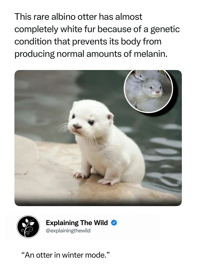 Let's Dive Into 68 Wild Facts and Pics That Will Blow Your Mind