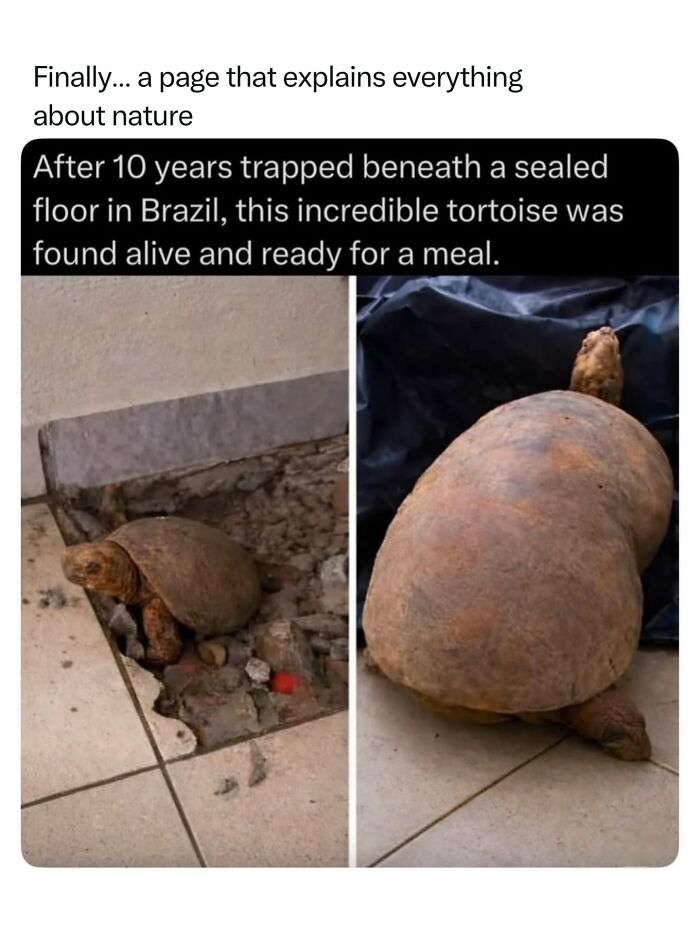 Let's Dive Into 68 Wild Facts and Pics That Will Blow Your Mind