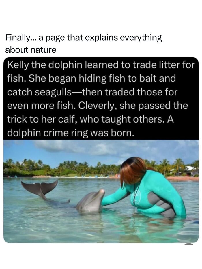 Let's Dive Into 68 Wild Facts and Pics That Will Blow Your Mind