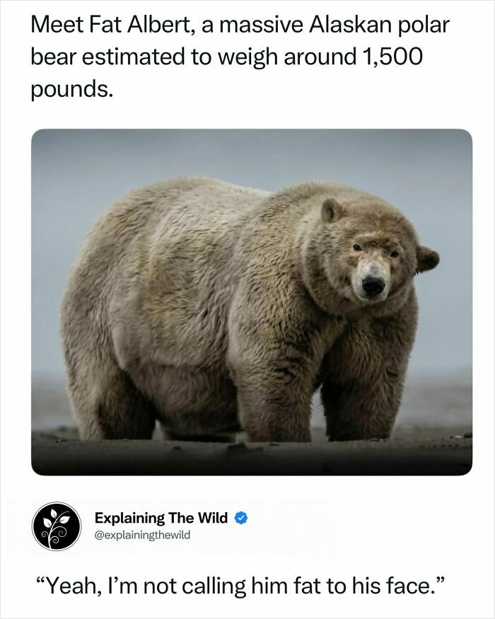 Let's Dive Into 68 Wild Facts and Pics That Will Blow Your Mind
