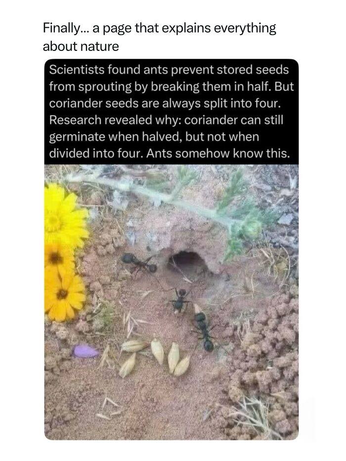 Let's Dive Into 68 Wild Facts and Pics That Will Blow Your Mind