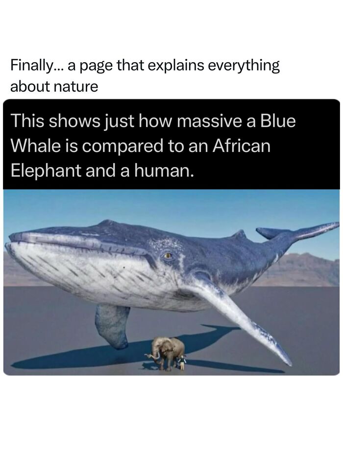 Let's Dive Into 68 Wild Facts and Pics That Will Blow Your Mind