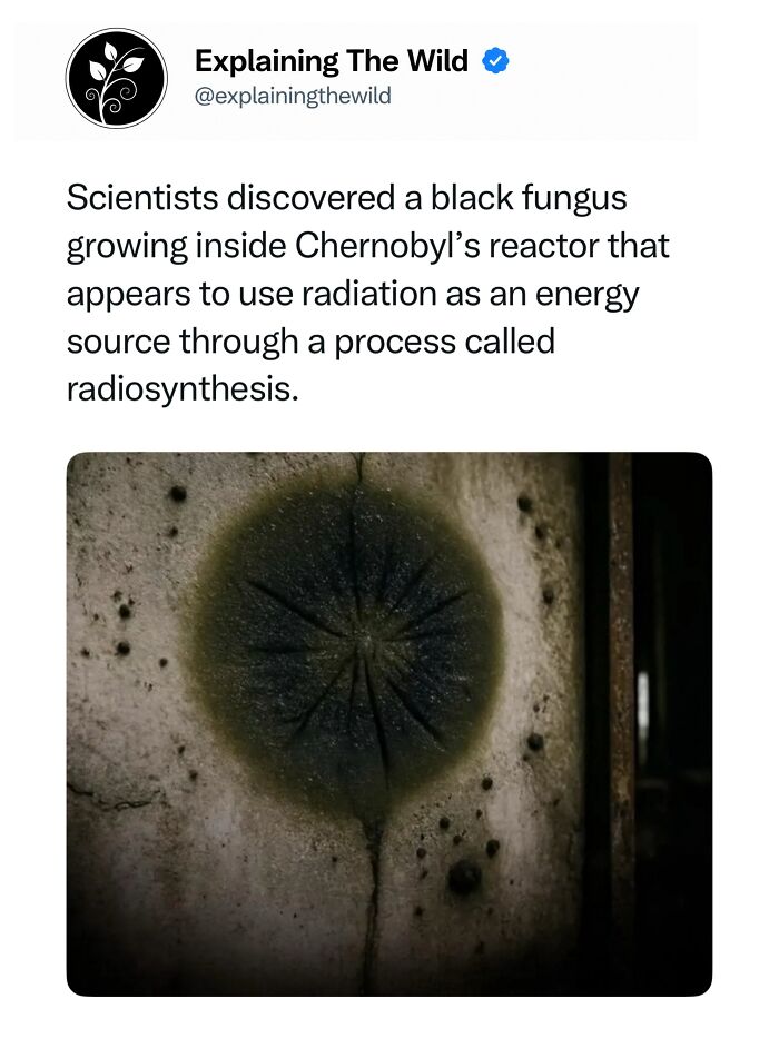 Let's Dive Into 68 Wild Facts and Pics That Will Blow Your Mind