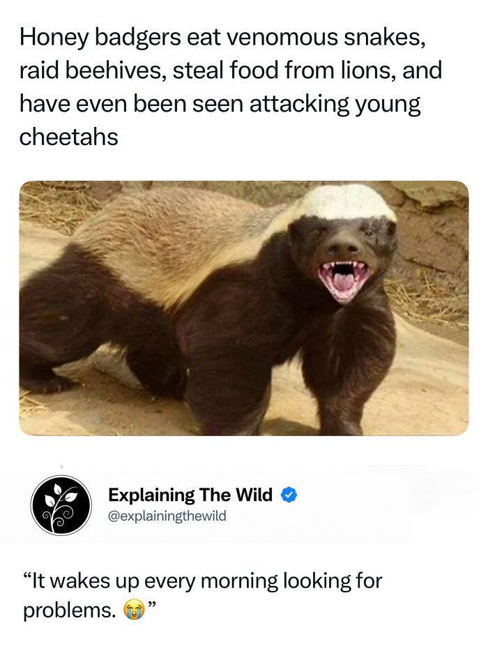 Let's Dive Into 68 Wild Facts and Pics That Will Blow Your Mind