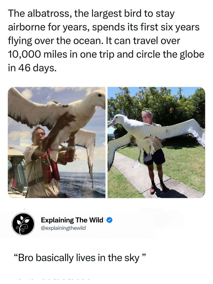 Let's Dive Into 68 Wild Facts and Pics That Will Blow Your Mind