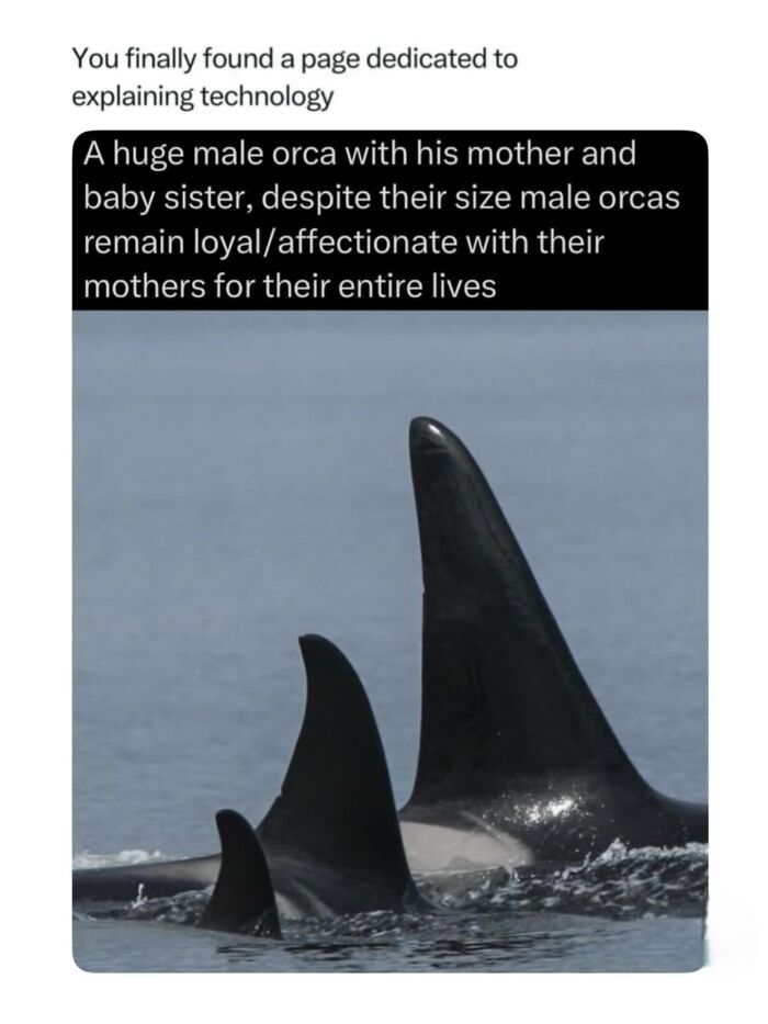 Let's Dive Into 68 Wild Facts and Pics That Will Blow Your Mind