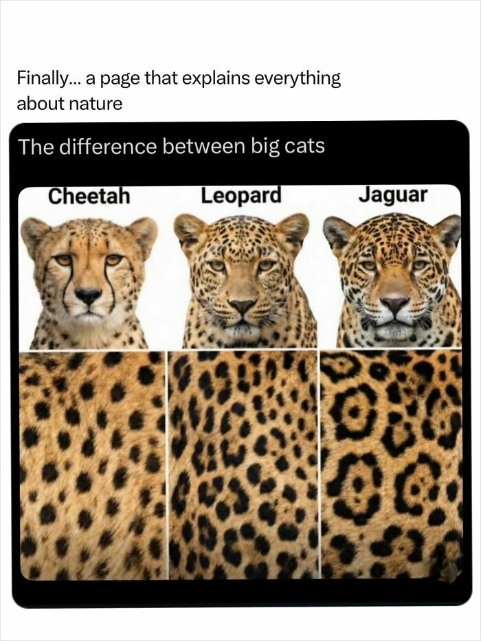 Let's Dive Into 68 Wild Facts and Pics That Will Blow Your Mind