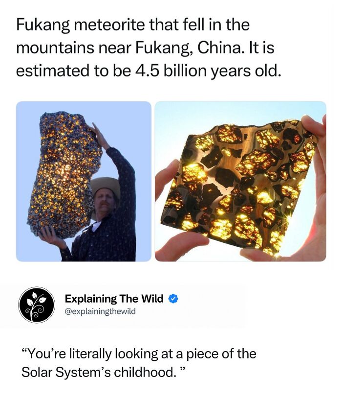 Let's Dive Into 68 Wild Facts and Pics That Will Blow Your Mind