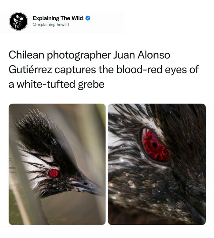 Let's Dive Into 68 Wild Facts and Pics That Will Blow Your Mind