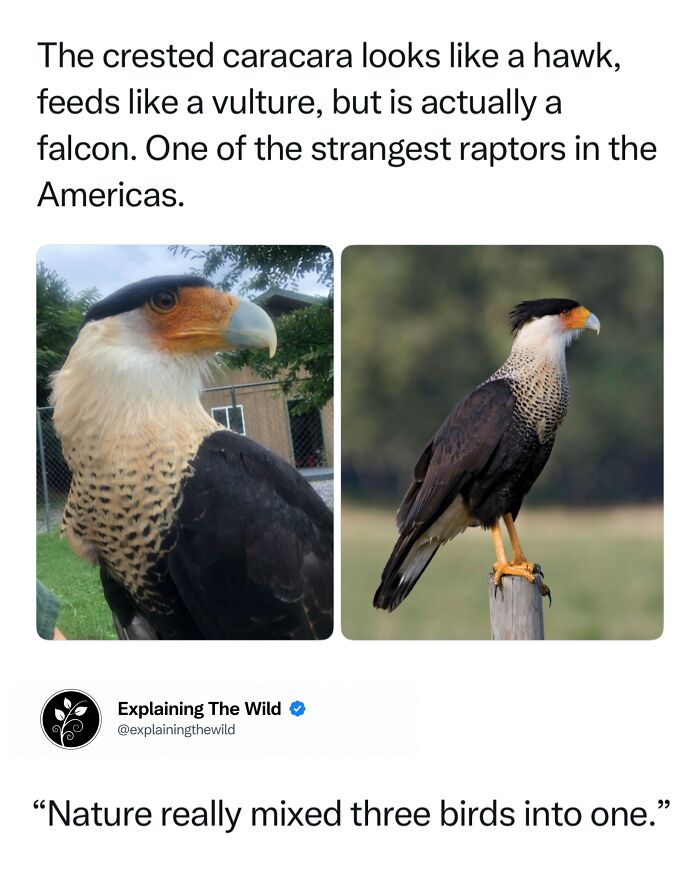 Let's Dive Into 68 Wild Facts and Pics That Will Blow Your Mind