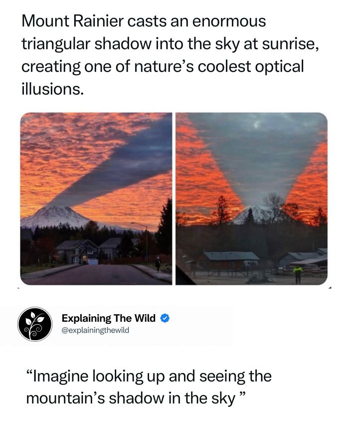 Let's Dive Into 68 Wild Facts and Pics That Will Blow Your Mind
