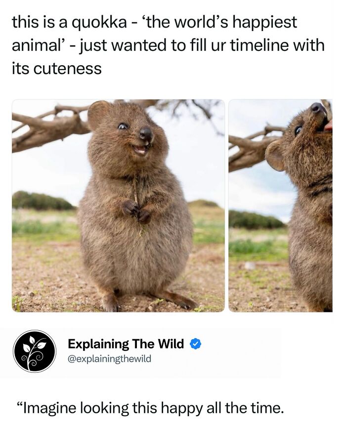 Let's Dive Into 68 Wild Facts and Pics That Will Blow Your Mind