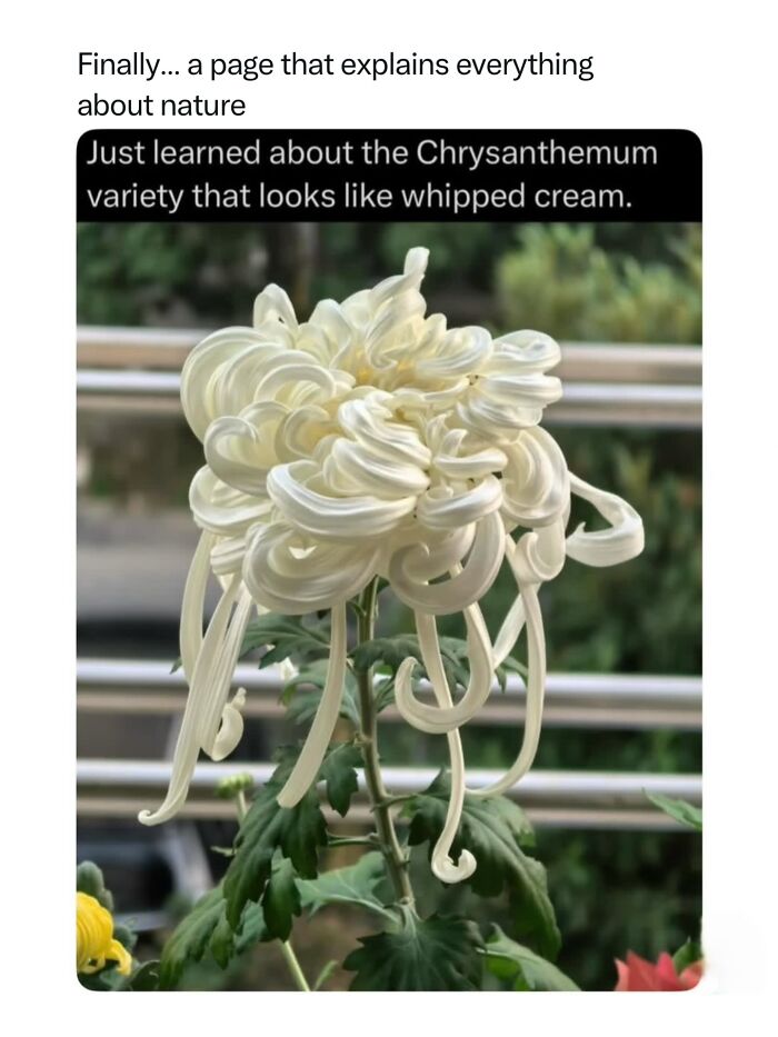 Let's Dive Into 68 Wild Facts and Pics That Will Blow Your Mind