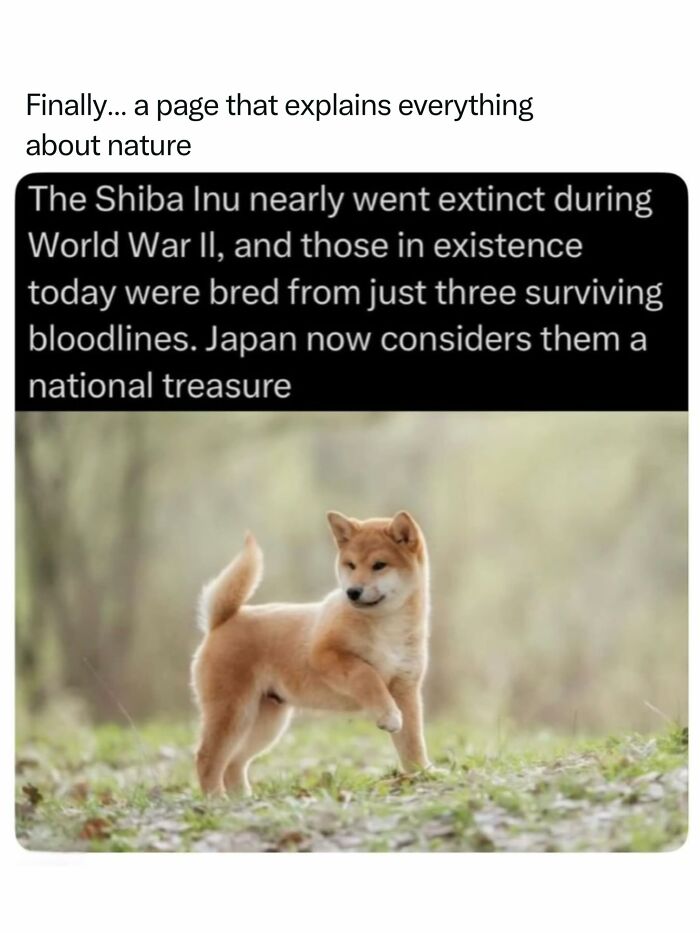 Let's Dive Into 68 Wild Facts and Pics That Will Blow Your Mind