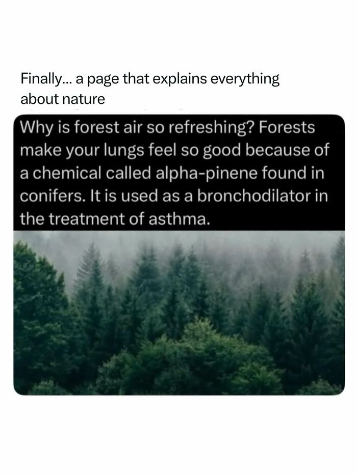 Let's Dive Into 68 Wild Facts and Pics That Will Blow Your Mind