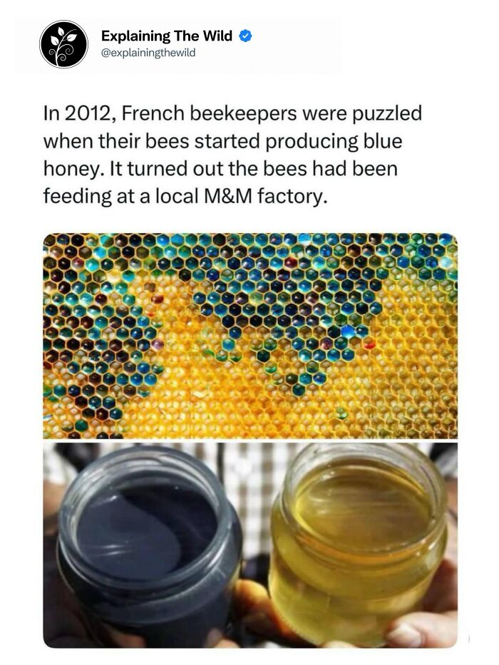 Let's Dive Into 68 Wild Facts and Pics That Will Blow Your Mind