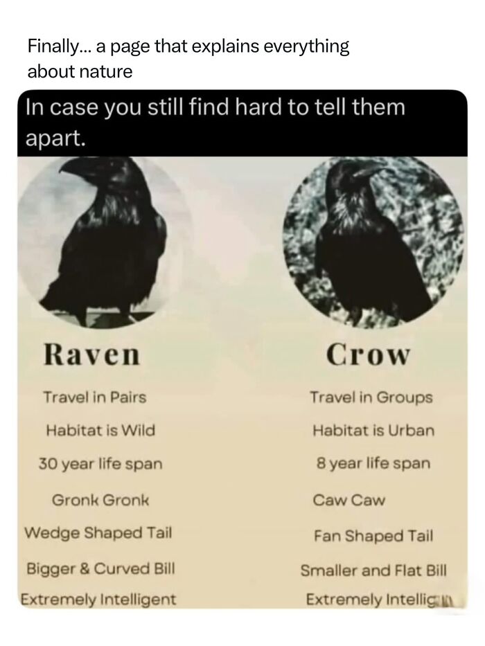 Let's Dive Into 68 Wild Facts and Pics That Will Blow Your Mind
