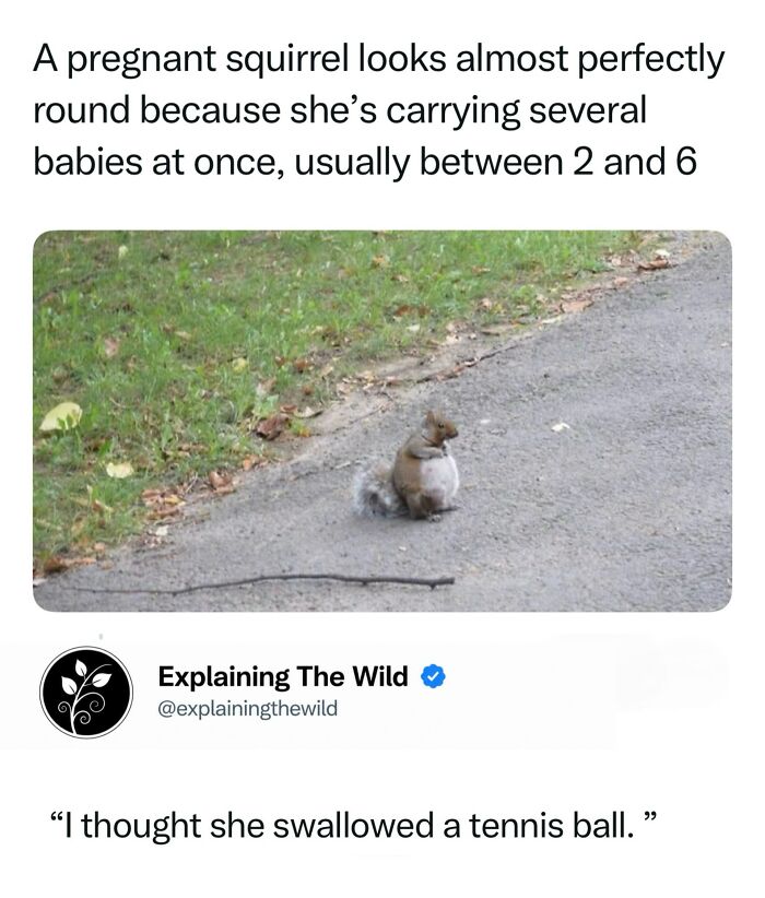 Let's Dive Into 68 Wild Facts and Pics That Will Blow Your Mind