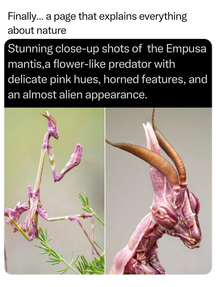 Let's Dive Into 68 Wild Facts and Pics That Will Blow Your Mind